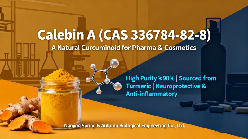 High-Purity Calebin A CAS 336784-82-8 | Natural Curcuminoid Extract for Pharmaceutical, Nutraceutical & Cosmetic Applications